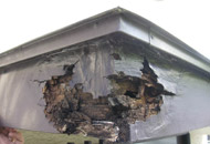 �C�U�H��-�J�R��C�U�H��